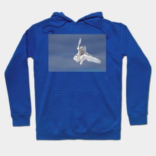 Flight of the Snowy Owl Hoodie